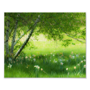 Impression Photo Daffodiques de printemps