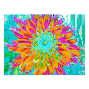 Impression Photo Dahlia Décoratif Orange Tropical et Rose Chaud