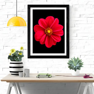 Impression Photo Dahlia rouge vibre