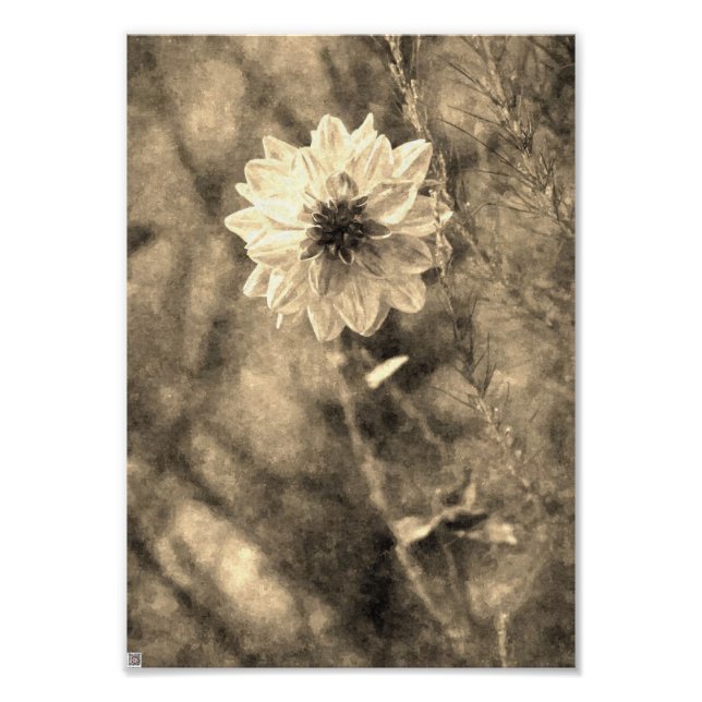 Impression Photo Dahlia vintage (Devant)
