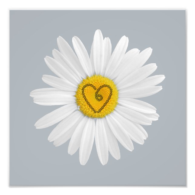 Impression Photo Daisy Flower Love Art Personnaliser Arrière - plan (Devant)