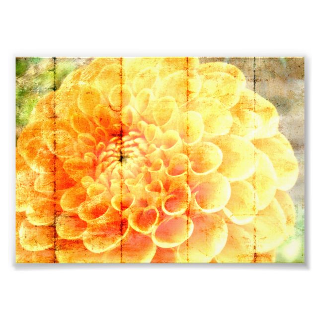 Impression Photo Dalie (homonymie) (Devant)