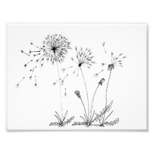 Impression Photo Dandelions