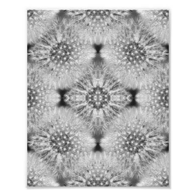 Impression Photo Dandelions blancs bouffants Nature Abstraite 8x10 (Devant)