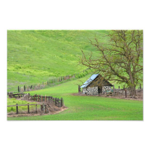 Impression Photo Dans Le Knoll.