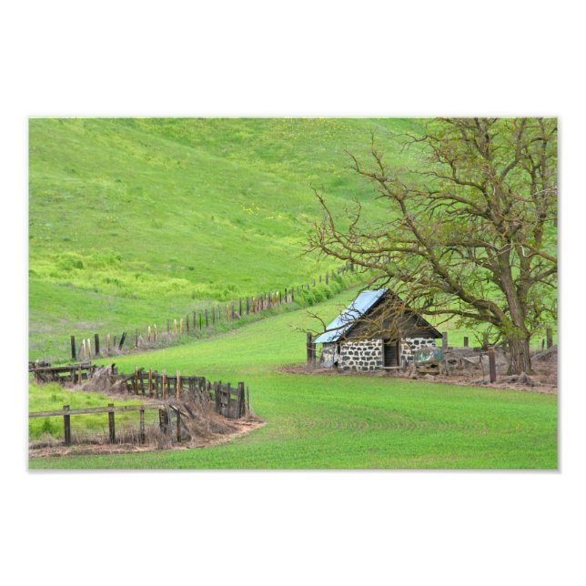 Impression Photo Dans Le Knoll. (Devant)