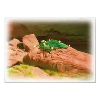 Impression Photo Datura Cavern