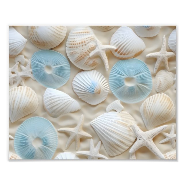 Impression photo de coquillages (Devant)