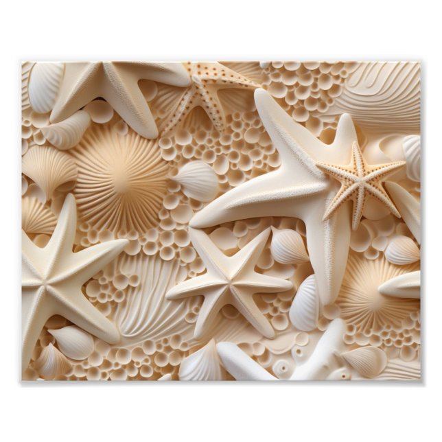 Impression photo de coquillages (Devant)