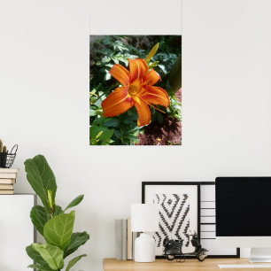Impression photo de fleur d'hémérocalle orange