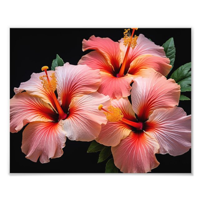 Impression photo de fleurs tropicales (Devant)