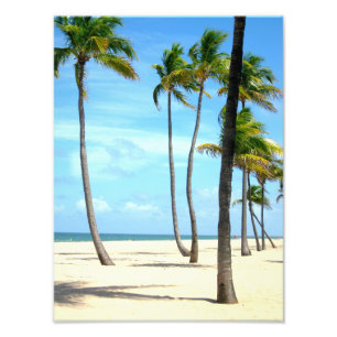 Impression Photo De grands palmiers sur la plage