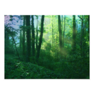 Impression photo de la fertilité