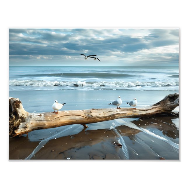 Impression photo de mouettes de plage (Devant)