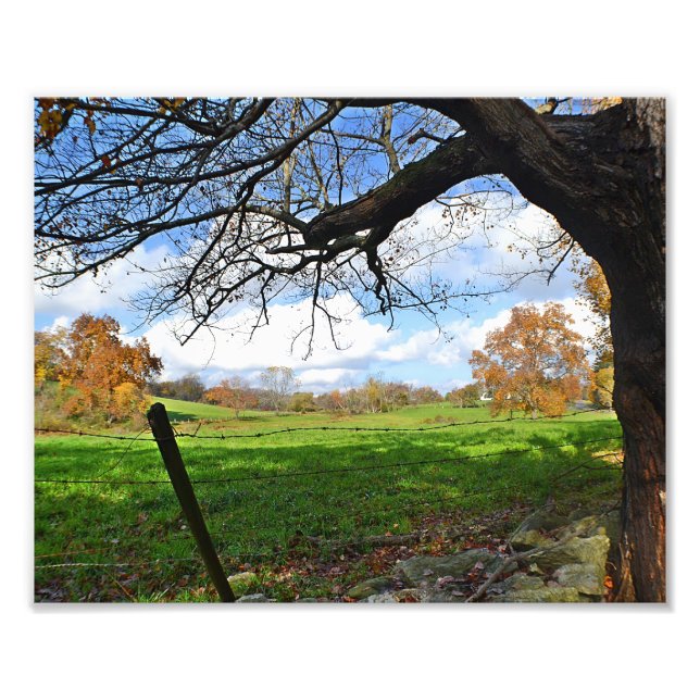Impression photo de pâturage en automne (Devant)
