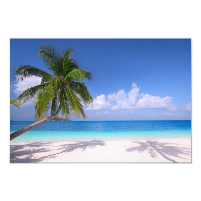 Impression photo de plage tropicale (Devant)