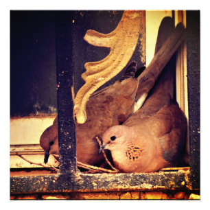 Impression photo de préparation