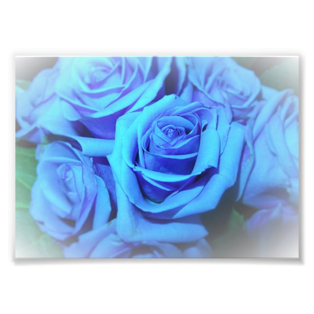 Impression photo de roses bleues (Devant)