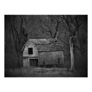 Impression Photo "Décomposition"