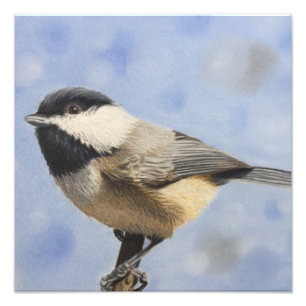Impression Photo Dee de dee de Chickadee