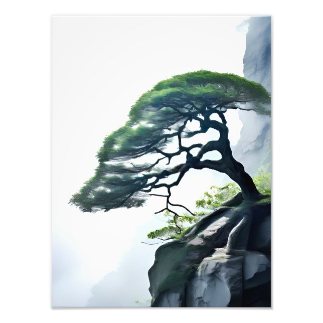 Impression Photo Défier les probabilités : Bonsai Tree sur la falai (Devant)