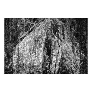 Impression Photo demeure