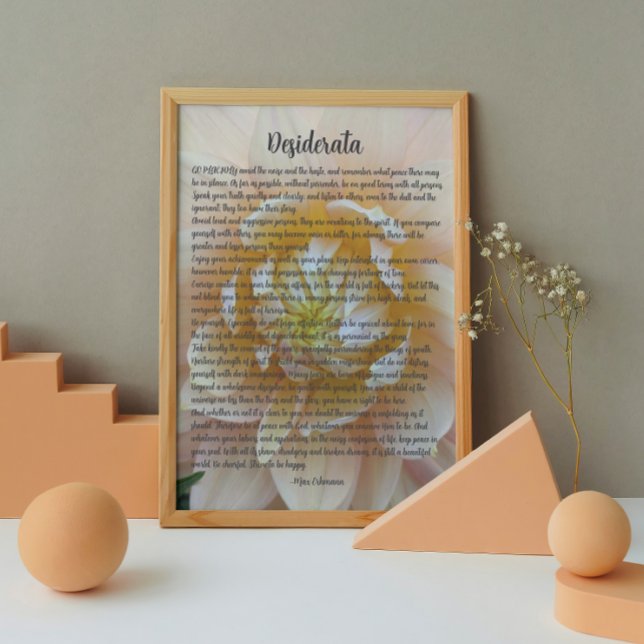 Impression Photo Desiderata Poem Blush Pink Dahlia Bloom (In Situ (Framed))