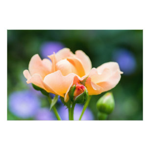 Impression Photo désir