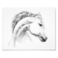 Dessin au crayon portrait de cheval Art équestre