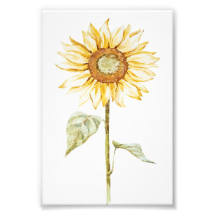 Impression Photo Dessin Tournesol - Vintage drôle cadeau d'annivers