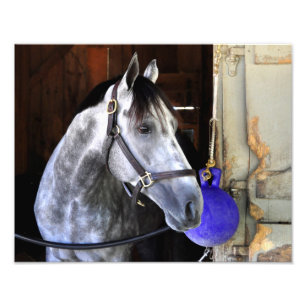 Impression Photo Destin