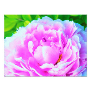 Impression Photo Détail de la fleur de pivoine rose double