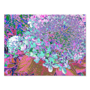 Impression Photo Détail élégant d'hydrangea Aqua et Violet sous la