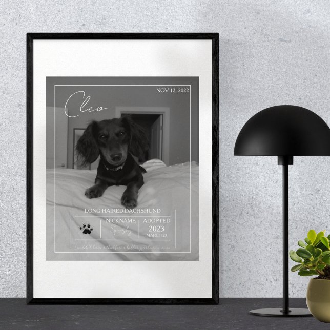 Impression Photo Détails sur l'animal de compagnie moderne personna (Celebrate your pet with this custom pet portrait! )