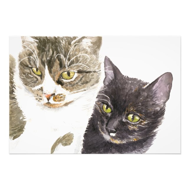 Impression Photo Deux chats - tabby et tortie (Devant)
