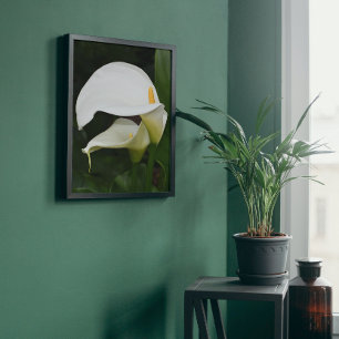 Impression Photo Deux Lys Calla Blanche Floral