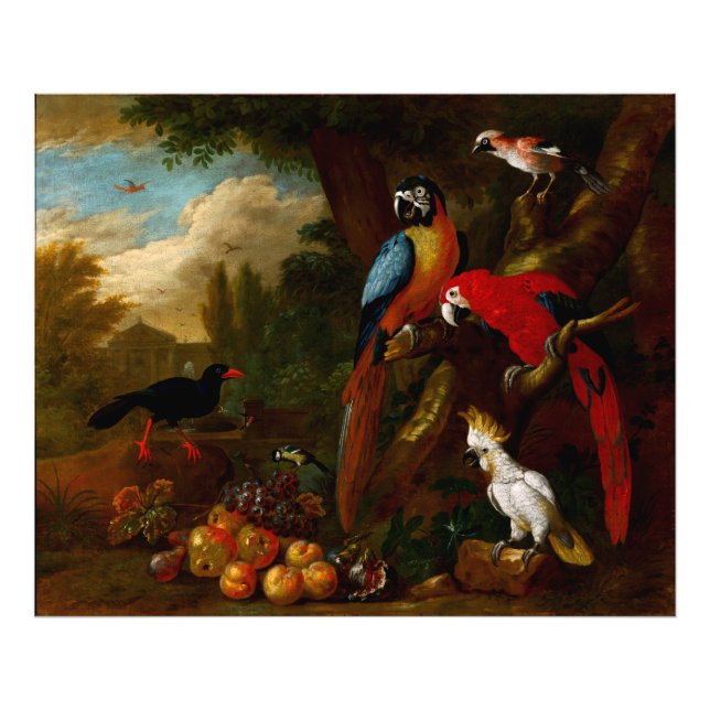 Impression Photo Deux Macaws un Cockatoo et une Jay aux fruits (Devant)