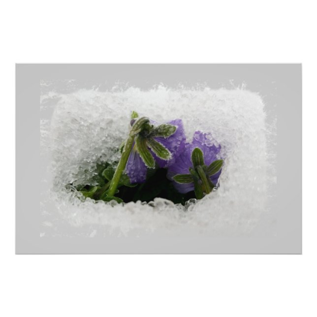 Impression Photo Deux panneaux violets (Devant)