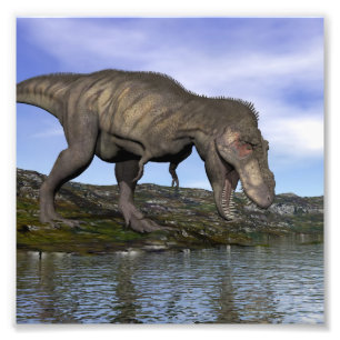 Impression Photo Dinosaure de rex de Tyrannosaurus - 3D rendent