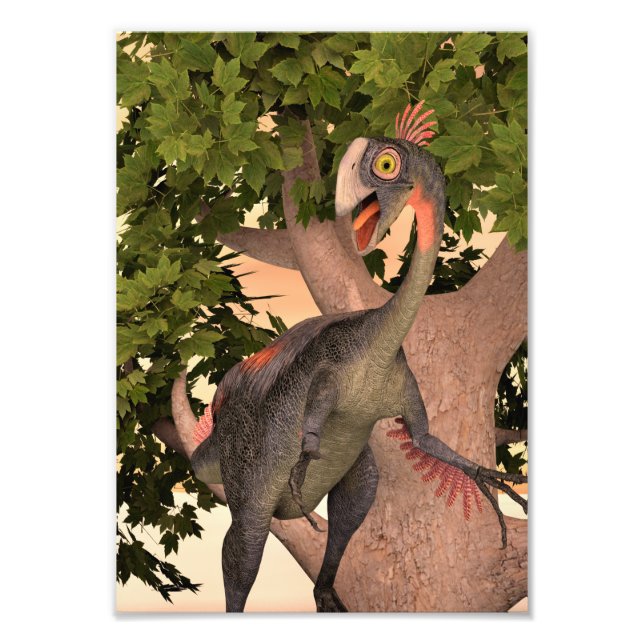 Impression Photo Dinosaure Gigantoraptor (Devant)