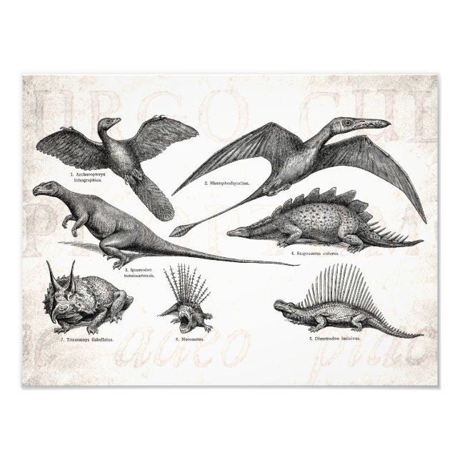 Impression Photo Dinosaure vintage Illustration Dinosaures rétro (Devant)