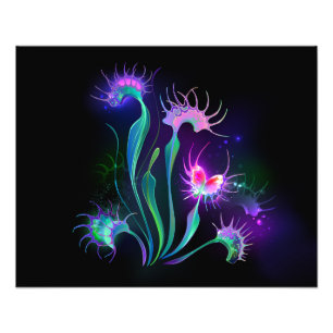 Impression Photo Dionaea Brillante