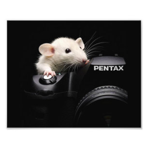 Impression Photo Dites le fromage !