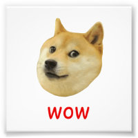 Doge Très Waouh Beaucoup Chien Telle Shiba Shibe I