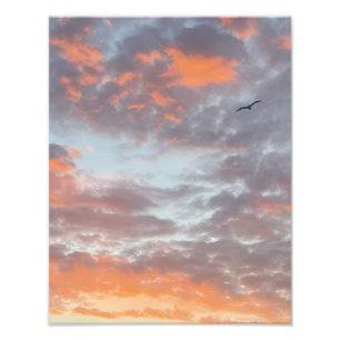 Impression photo d'oiseau volant dans des nuages r
