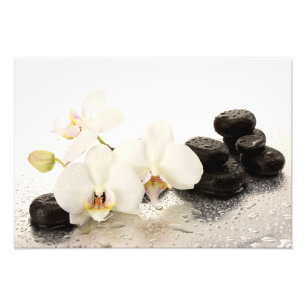 Impression photo d'orchidées