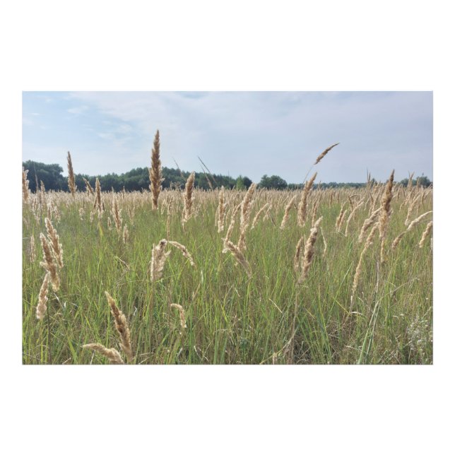 Impression Photo Douce Prairie d'Été (Devant)