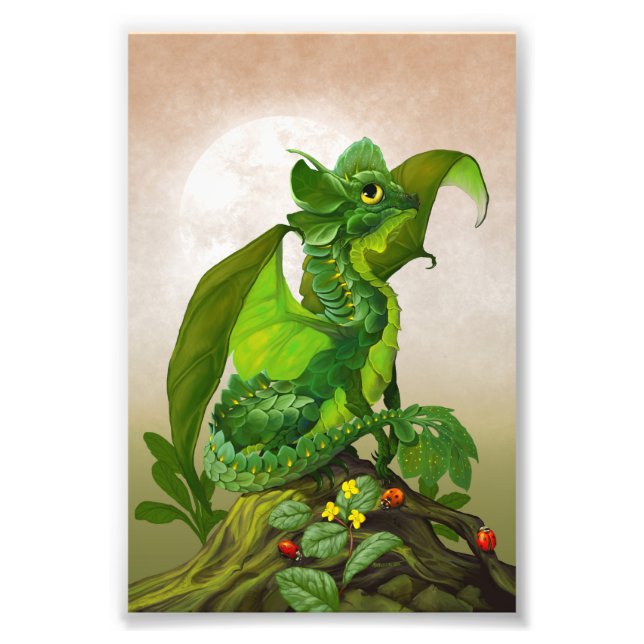 Impression Photo Dragon d'épinards 4x6 (Devant)