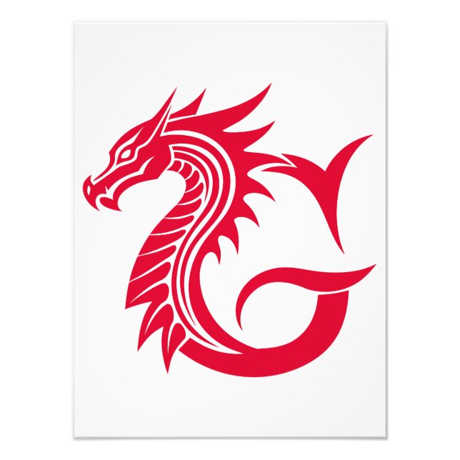 Impression Photo Dragon Styled Letter G, Dragon Alphabet, Monogram (Devant)