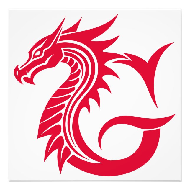 Impression Photo Dragon Styled Letter G, Dragon Alphabet, Monogram (Devant)